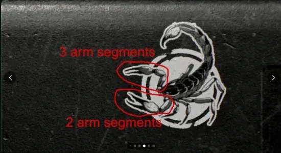 Pasted Image